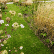 Digitale værktøjer kan gøre biodiversitet tilgængelig i byggeriet – et nyt samarbejde i ConTech Lab viser, hvordan data og teknologi kan supplere biologernes arbejde. Foto Fælleshaven.