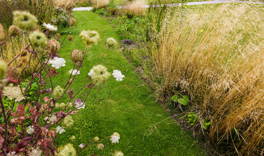 Digitale værktøjer kan gøre biodiversitet tilgængelig i byggeriet – et nyt samarbejde i ConTech Lab viser, hvordan data og teknologi kan supplere biologernes arbejde. Foto Fælleshaven.